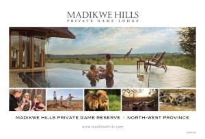 Madikwe Hills Private Game Reserve I North-West Province