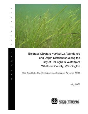 Eelgrass (Zostera Marina L.) Abundance