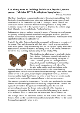 Life History Notes on the Dingy Bush-Brown, Mycalesis Perseus Perseus (Fabricius, 18775) Lepidoptera: Nymphalidae – Wesley Jenkinson