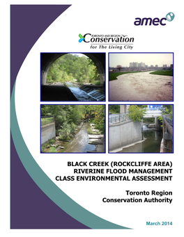 Black Creek (Rockcliffe Area) Riverine Flood Management Class Environmental Assessment