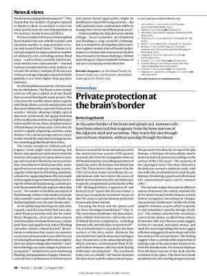 Private Protection at the Brain's Border