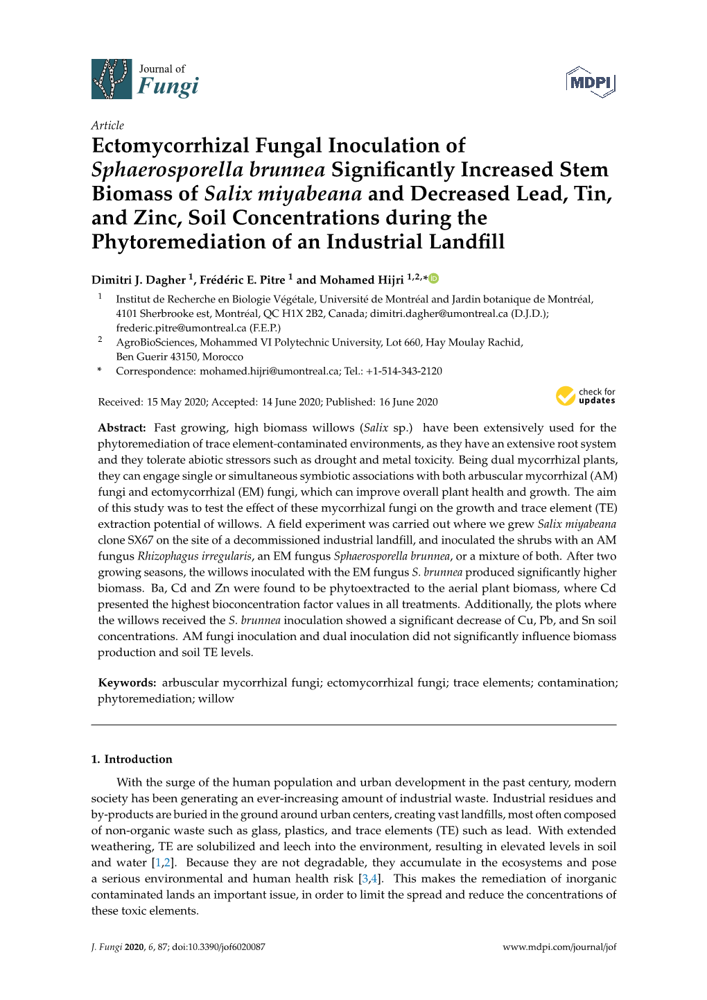 Ectomycorrhizal Fungal Inoculation of Sphaerosporella Brunnea