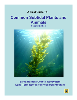 Common Subtidal Plants and Animals Second Edition