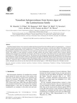 Vanadium Haloperoxidases from Brown Algae of the Laminariaceae Family