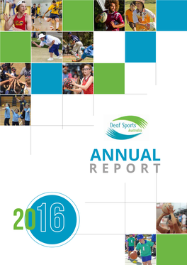 2016 DSA Annual Report