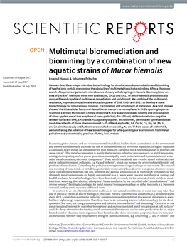 Multimetal Bioremediation and Biomining by a Combination of New