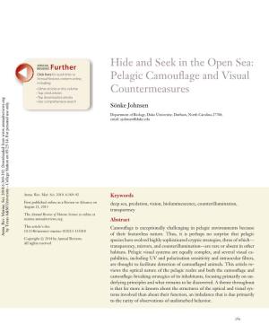 Hide and Seek in the Open Sea: Pelagic Camouflage and Visual
