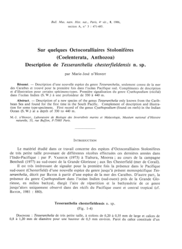 Coelenterata, Anthozoa) Description De Tesseranthelia Chesterfieldensis N