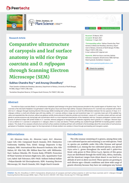 Comparative Ultrastructure of Caryopsis and Leaf Surface Anatomy in Wild Rice Oryza Coarctata and O. Rufipogon Through Scanning Electron Microscope (SEM)