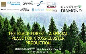The Black Forest – a Special Place for Cross-Cluster Production