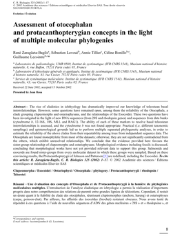 Assessment of Otocephalan and Protacanthopterygian Concepts in the Light of Multiple Molecular Phylogenies