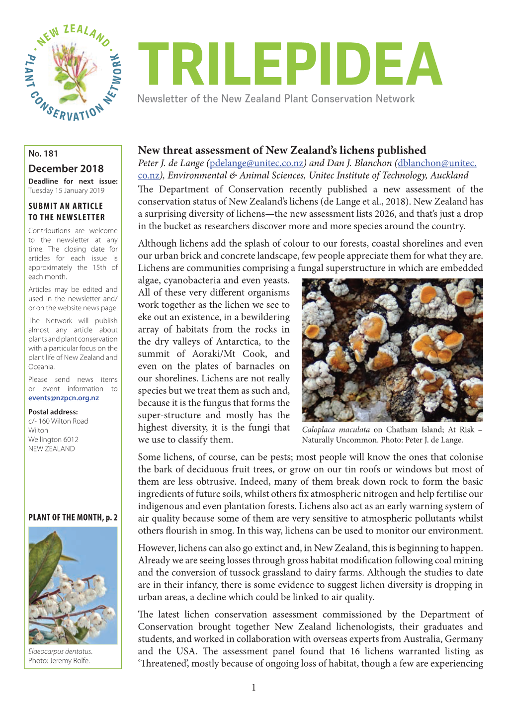 New Threat Assessment of New Zealand's Lichens Published