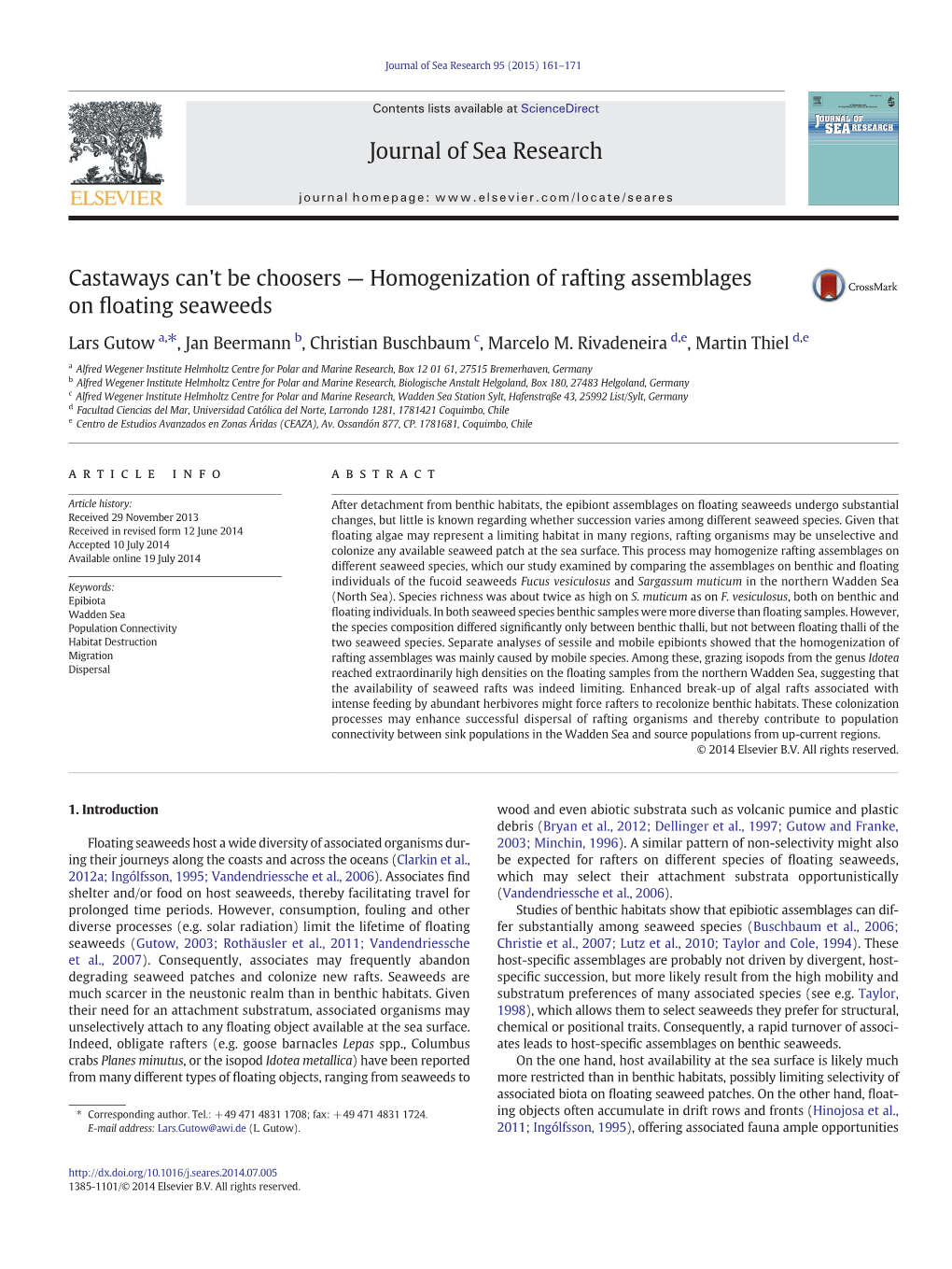 Homogenization of Rafting Assemblages on Floating