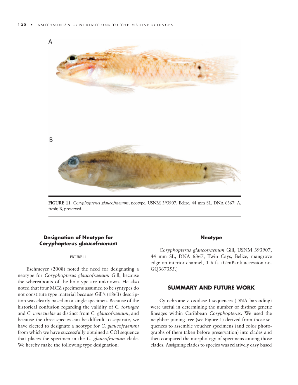 SUMMARY and FUTURE WORK Not Constitute Type Material Because Gill’S (1863) Descrip- Tion Was Clearly Based on a Single Specimen