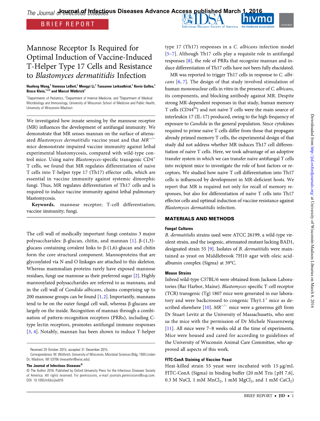 Mannose Receptor Is Required for Optimal Induction of Vaccine