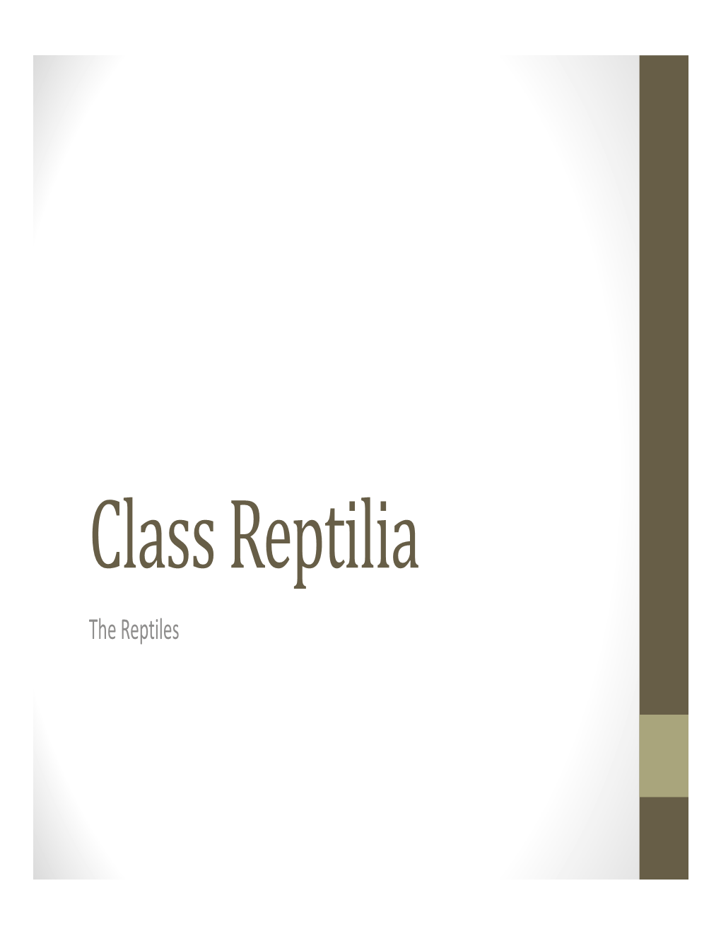 Class Reptilia the Reptiles Adaptations for Terrestrial Life