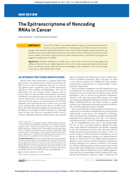 The Epitranscriptome of Noncoding Rnas in Cancer