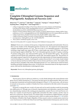 Complete Chloroplast Genome Sequence and Phylogenetic Analysis of Paeonia Ostii