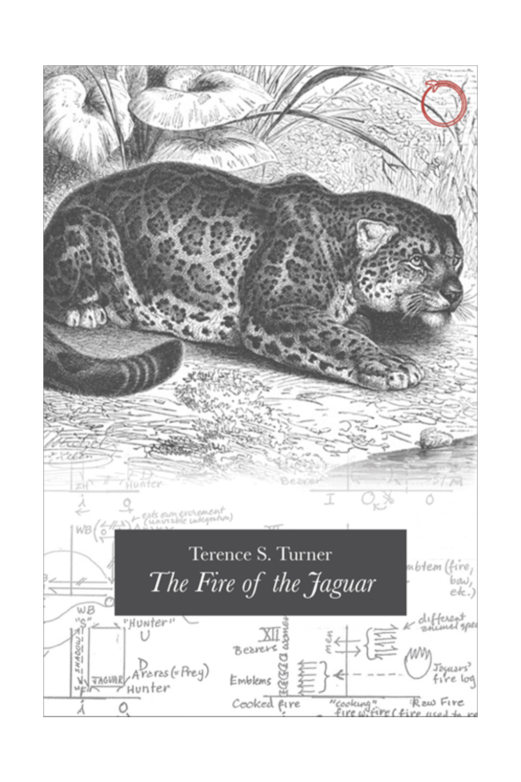 THE FIRE of the JAGUAR Hau BOOKS