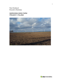 Margonin Wind Farm Non-Technical Summary [EBRD