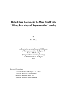 Robust Deep Learning in the Open World with Lifelong Learning and Representation Learning