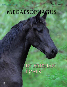 Megaesophagus in Friesian Foals