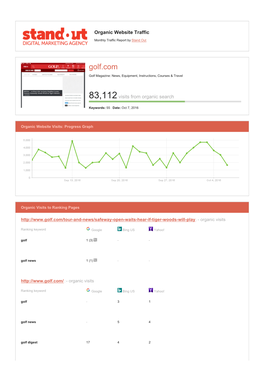 Organic Website Traffic