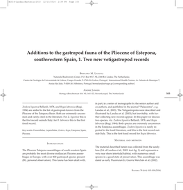 Additions to the Gastropod Fauna of the Pliocene of Estepona, Southwestern Spain, 1