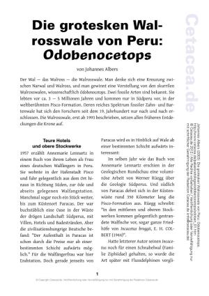 Albers Odobenocetops