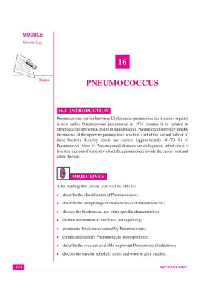 16 Pneumococcus