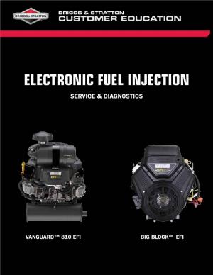 Electronic Fuel Injection Service & Diagnostics