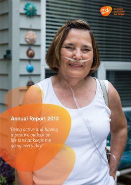 Annual Report 2013