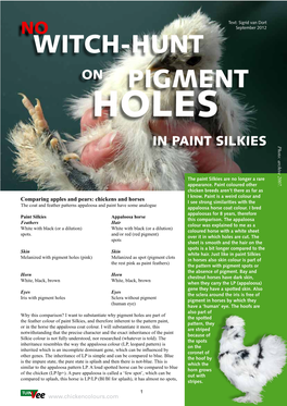 Pigment-Holes-Paint-Silkies