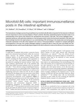Cells: Important Immunosurveillance Posts in the Intestinal Epithelium