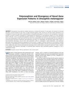 Polymorphism and Divergence of Novel Gene Expression Patterns in Drosophila Melanogaster