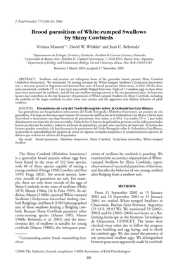 Brood Parasitism of White-Rumped Swallows by Shiny Cowbirds Viviana Massoni1,3, David W