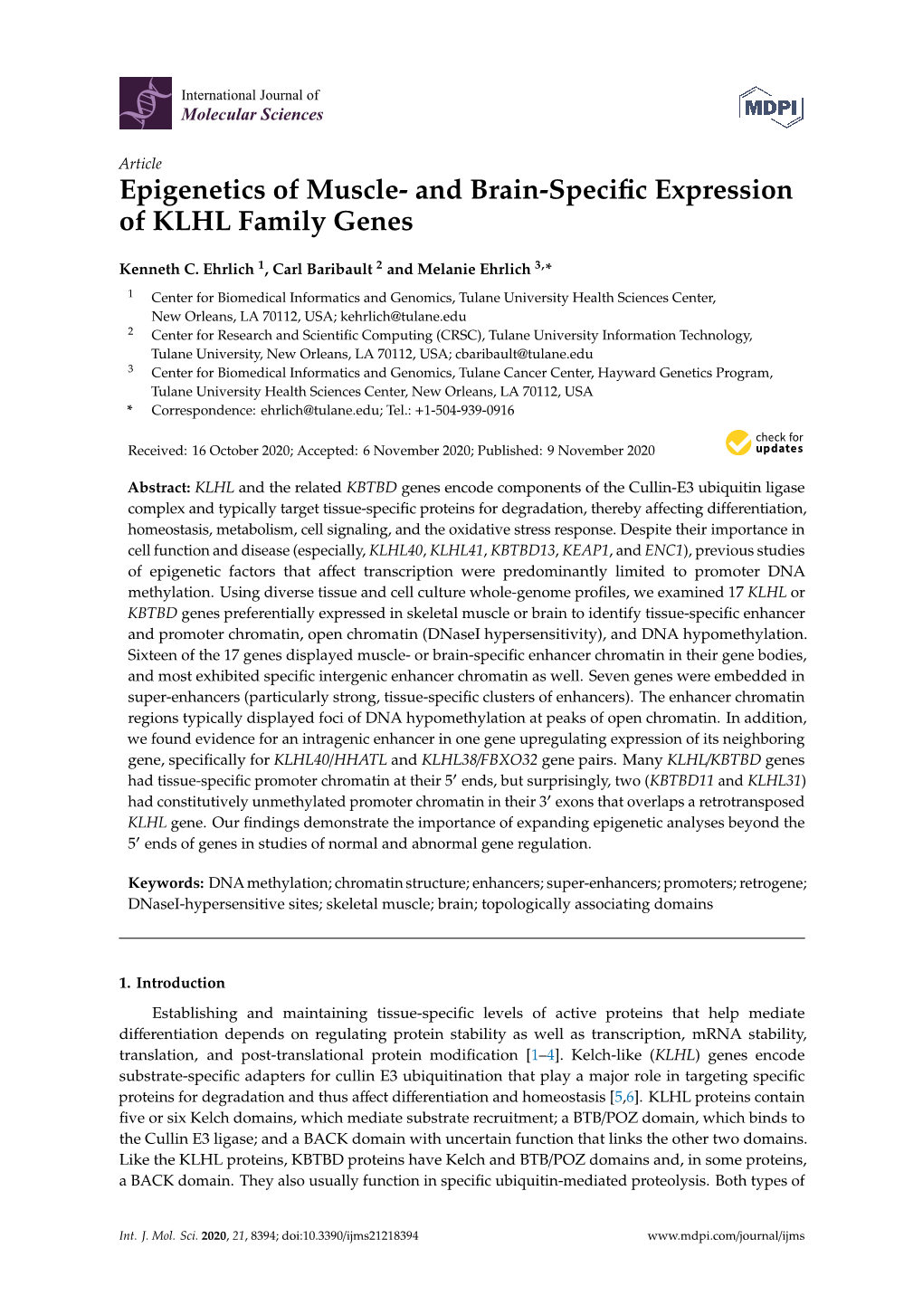 And Brain-Specific Expression of KLHL Family Genes