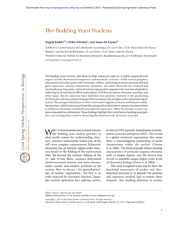 The Budding Yeast Nucleus