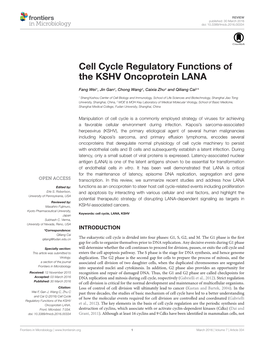Cell Cycle Regulatory Functions of the KSHV Oncoprotein LANA
