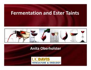 Fermentation and Ester Taints
