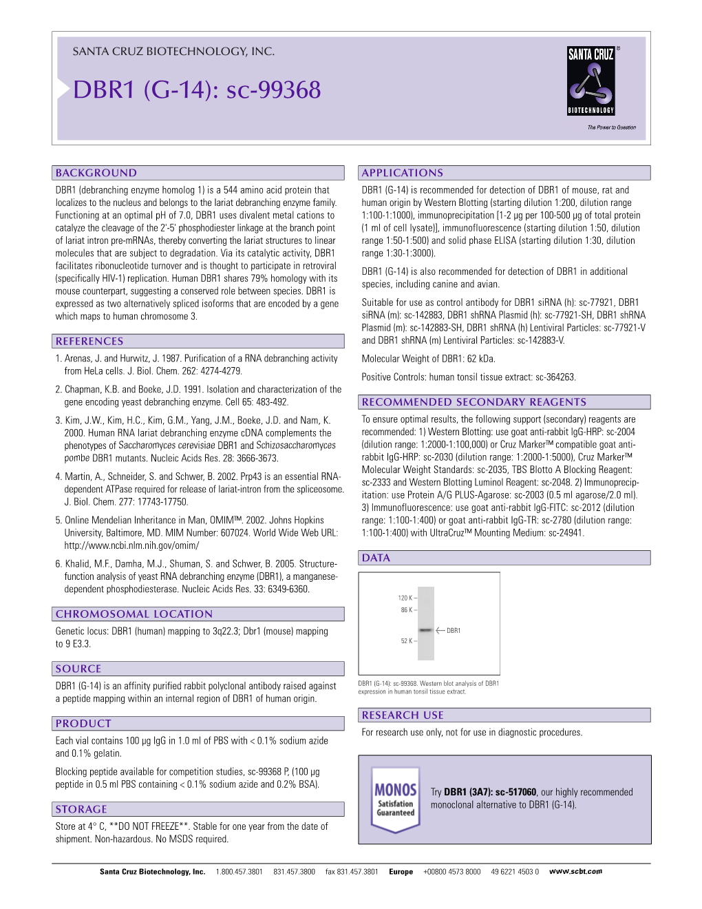 Datasheet Blank Template