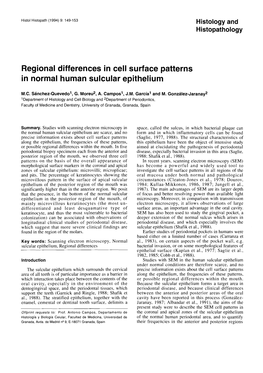 Regional Differences in Cell Surface Patterns in Normal Human Sulcular Epithelium