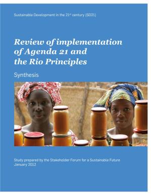 Review of Implementation of Agenda 21 and the Rio Principles Synthesis
