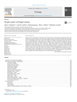 50-Plus Years of Fungal Viruses