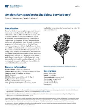 Amelanchier Canadensis: Shadblow Serviceberry1 Edward F