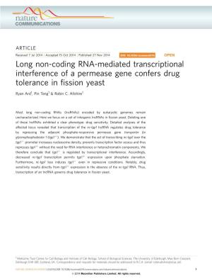 Long Non-Coding RNA-Mediated Transcriptional Interference of a Permease Gene Confers Drug Tolerance in ﬁssion Yeast