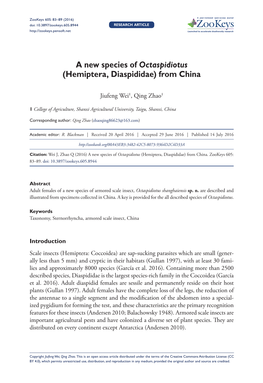 A New Species of Octaspidiotus (Hemiptera, Diaspididae) from China