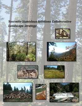 Final 070313, YSS Landscape Strategy