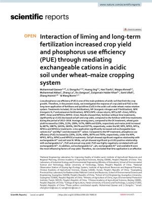Interaction of Liming and Long-Term Fertilization Increased Crop Yield and Phosphorus Use Efficiency