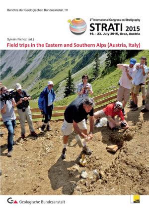 Field Trips in the Eastern and Southern Alps (Austria, Italy)